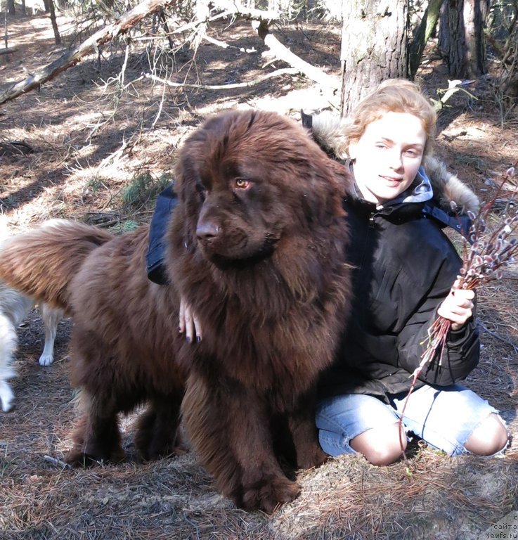 Фотография № 148596