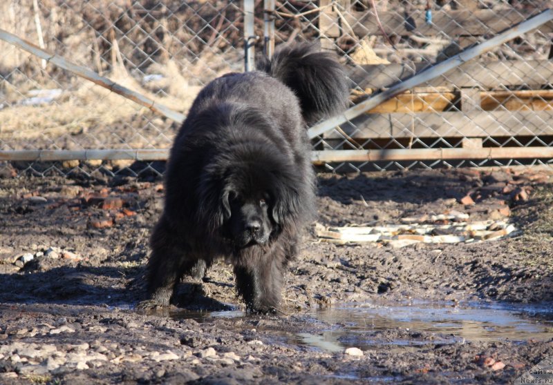 Фотография № 148657