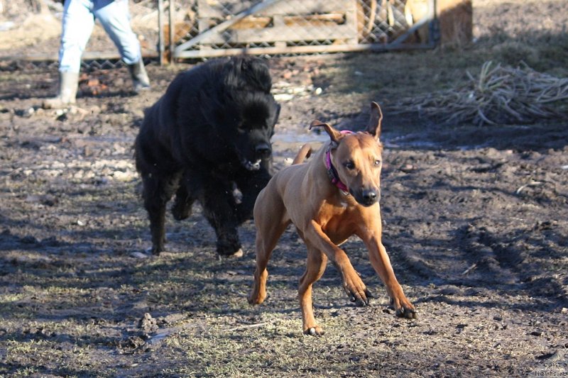 Фотография № 148658