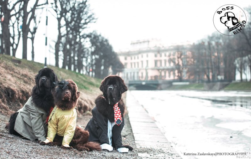 Фотография № 148732