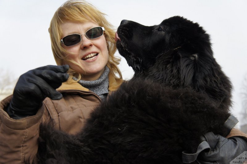 Фотография № 148763