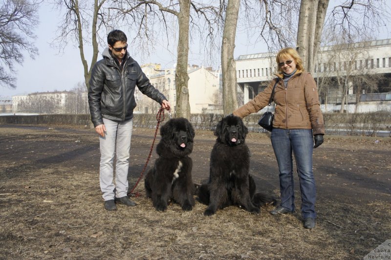 Фотография № 148766