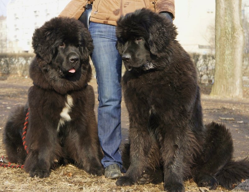 Фотография № 148768