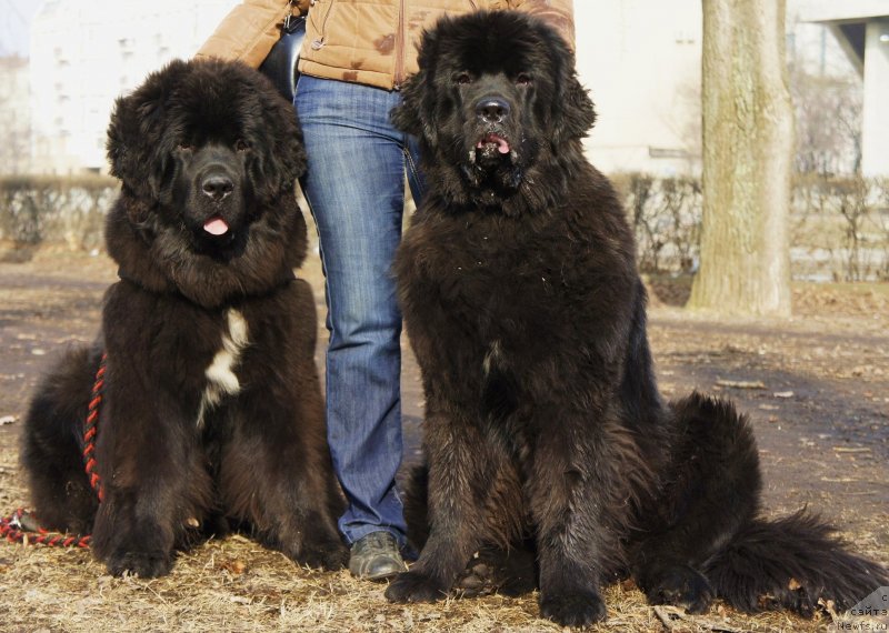 Фотография № 148769