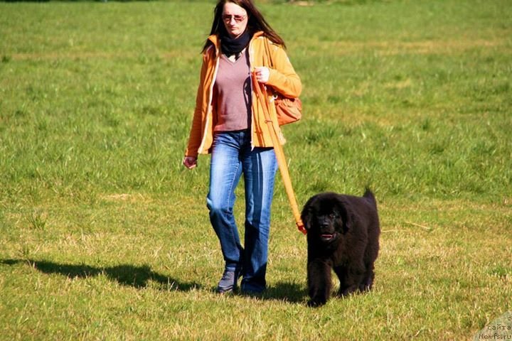 Фото: Бегущая по волнам Ричин Старс