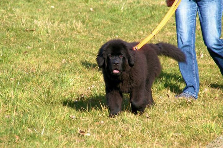 Фото: Бегущая по волнам Ричин Старс