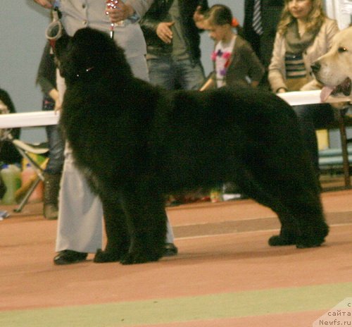 Фотография № 148827