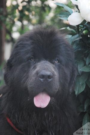 Фотография № 14886