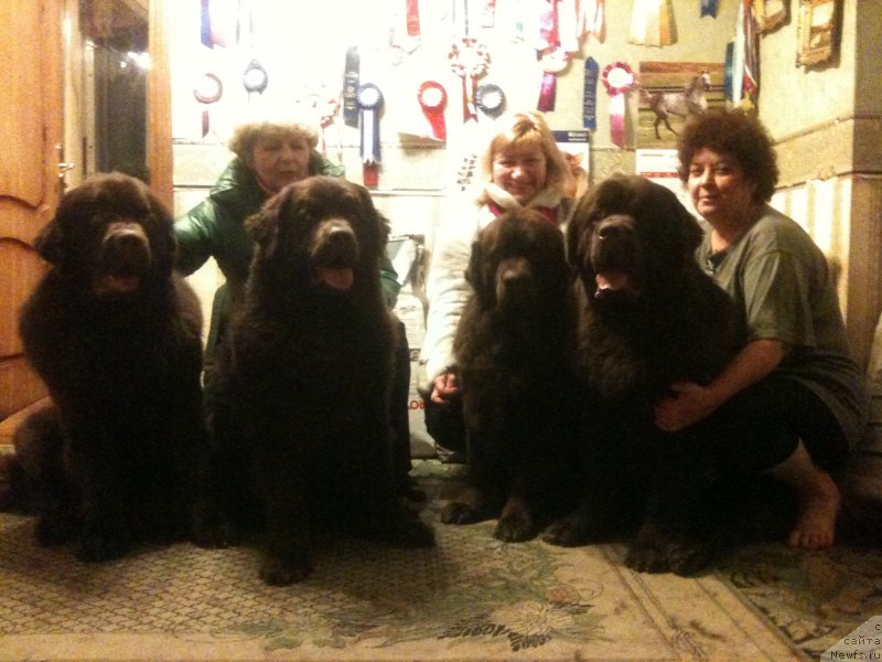 Фото: Ekaterina Stankevich (Екатерина Станкевич), Natal'ya Smazchikova (Наталья Смазчикова), Elena SHmeleva (Елена Шмелева), ньюфаундленд Velikiy Medved' Kameliya (Великий Медведь Камелия), ньюфаундленд Charli The Best Helfi Pel (Чарли Де Бест Хелфи Пэл), ньюфаундленд Chara Hani Les (Чара Хани Лес), ньюфаундленд Charmer Denkam Bronze (Чармер Денкам Бронз)