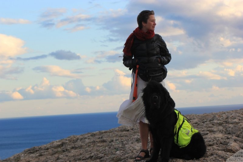 Фотография № 148921