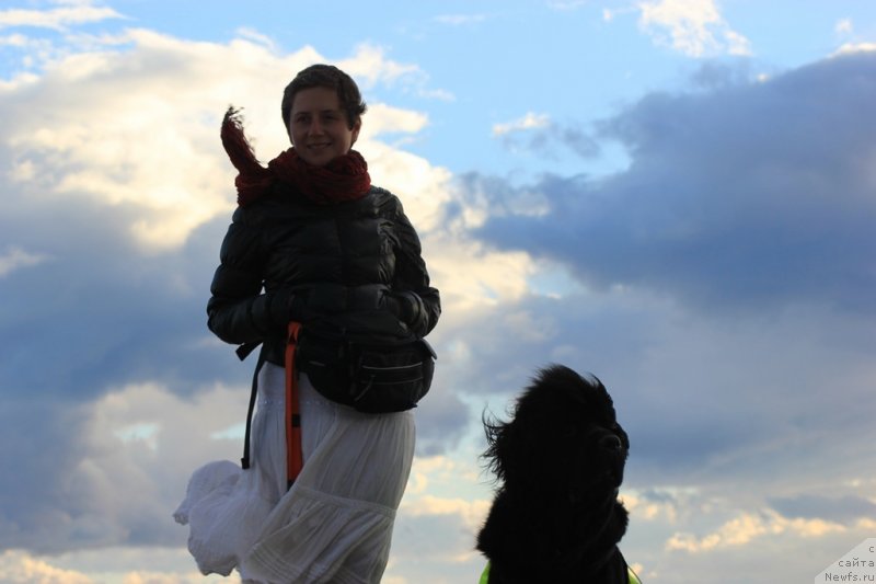 Фото: Natal'ya Selezneva (Наталья Селезнева), ньюфаундленд Tsinnamon Bel' Fra Sharmel iz Arkaima (Циннамон БельФра Шармэль из Аркаима)