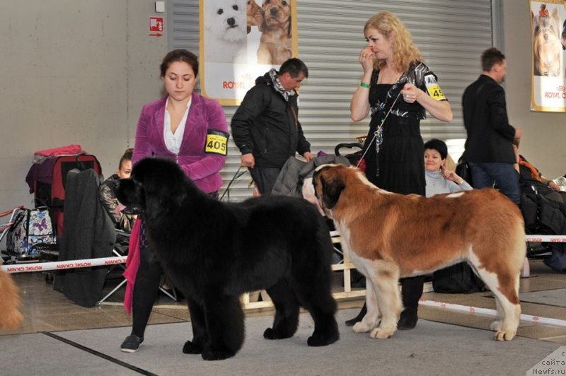 Фотография № 148944