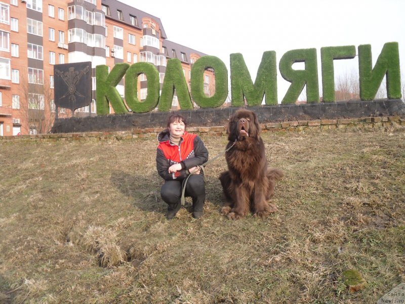 Фотография № 148951