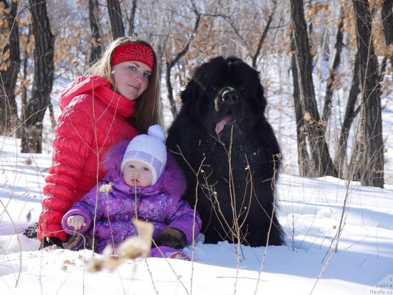 Фотография № 148958