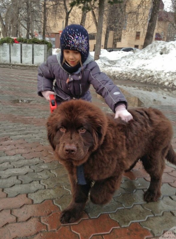 Фото: Гектор Троянский