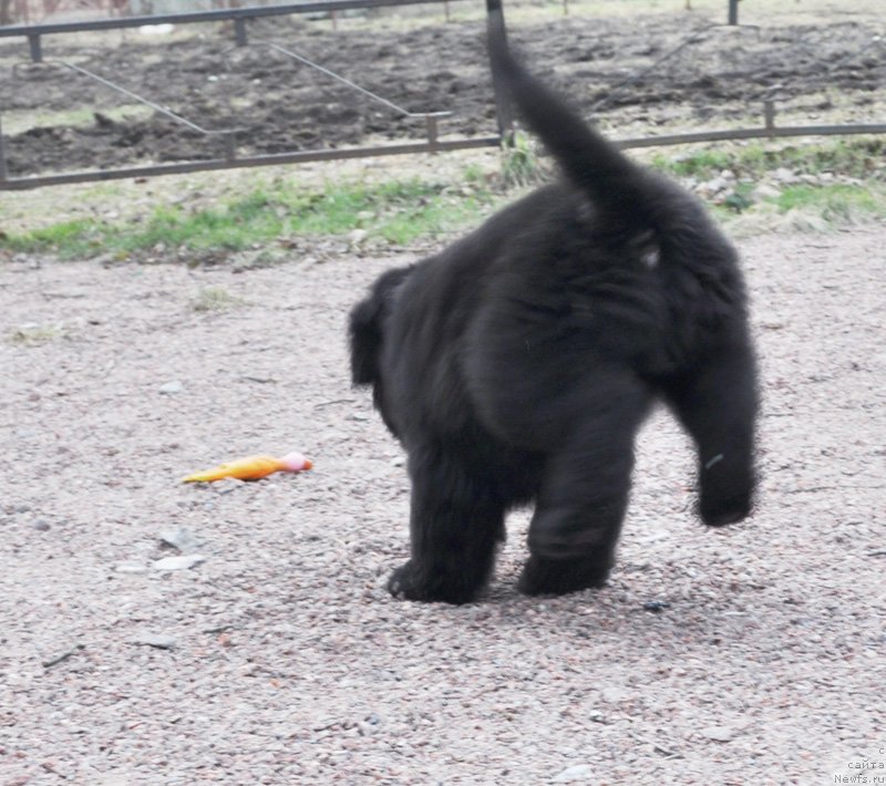 Фото: Бегущая по волнам Фрилансер