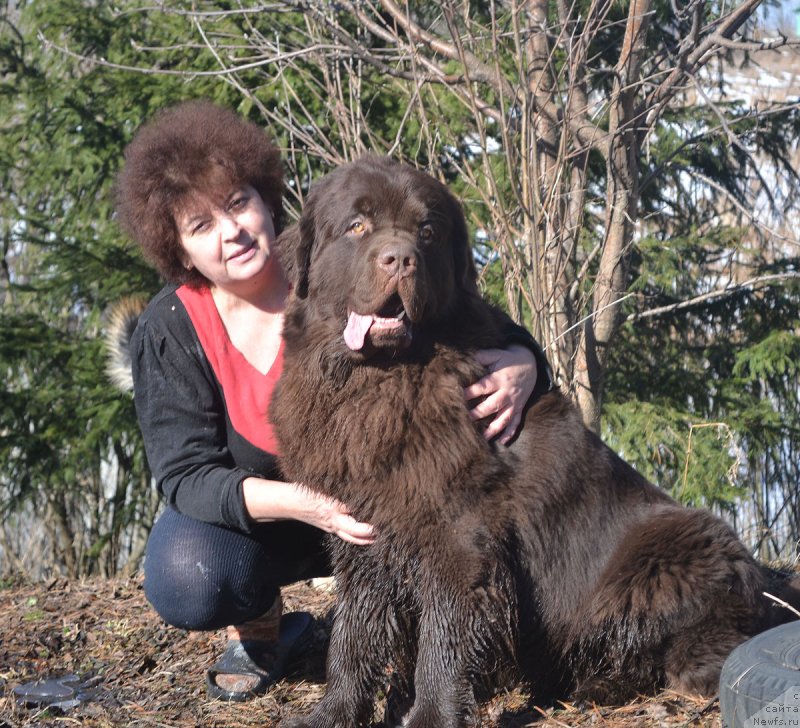 Фотография № 148984