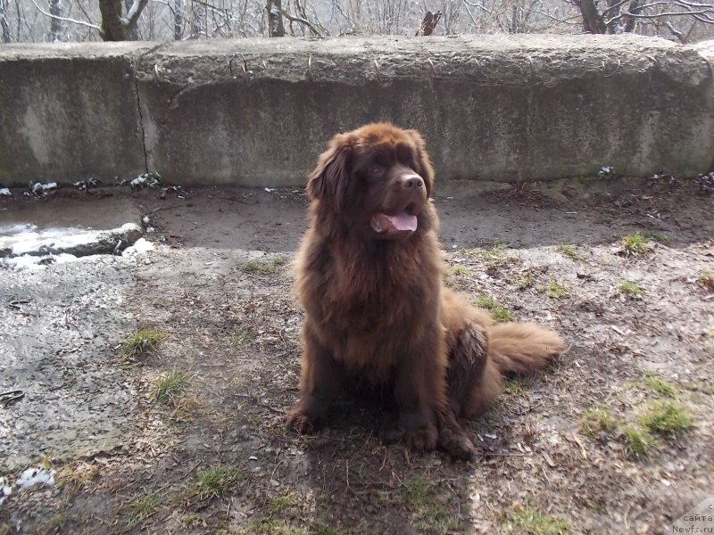 Фотография № 149030