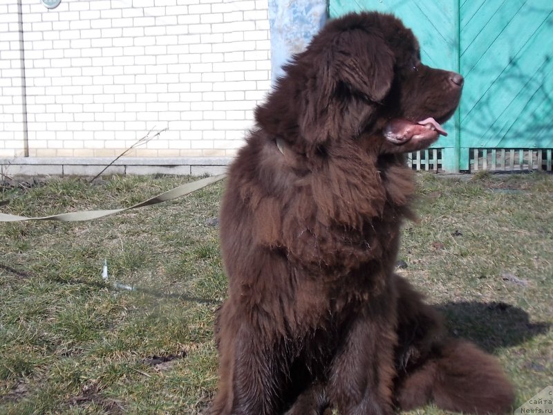 Фотография № 149033