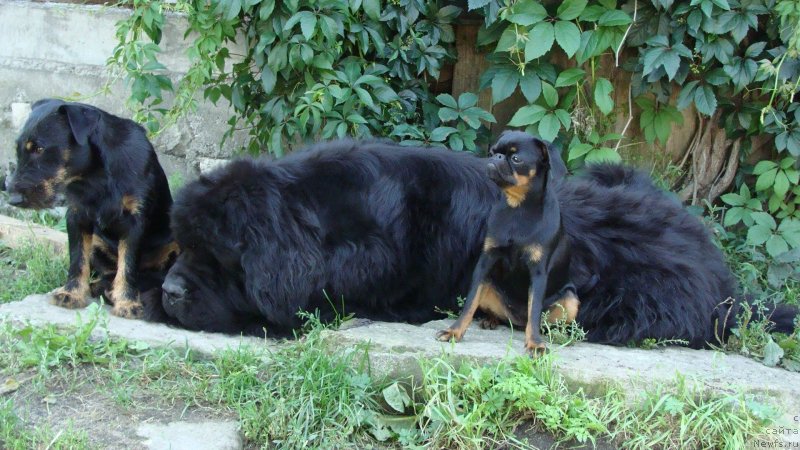 Фотография № 149038