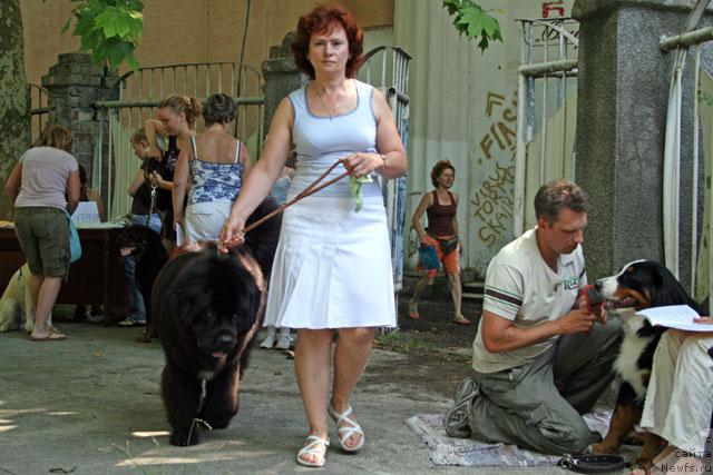 Фотография № 14904