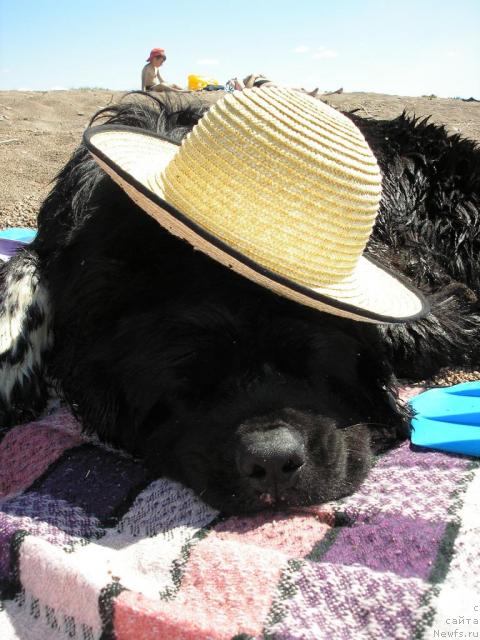 Фотография № 14908