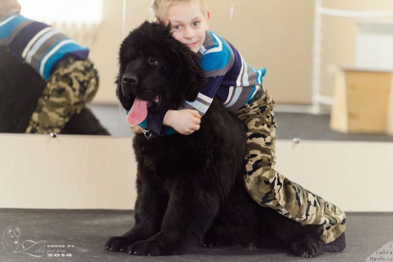 Фотография № 149108