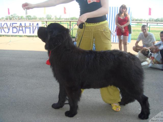 Фотография № 14911