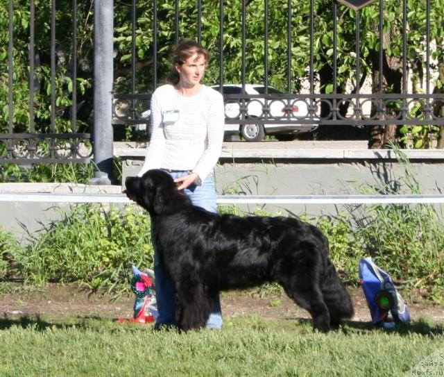 Фотография № 14912