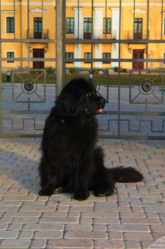 Фотография № 149132