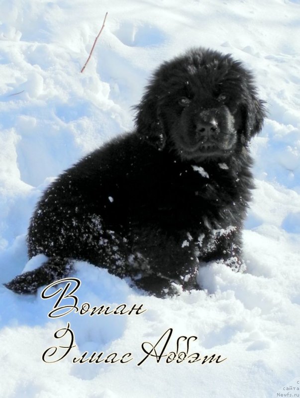 Фотография № 149144