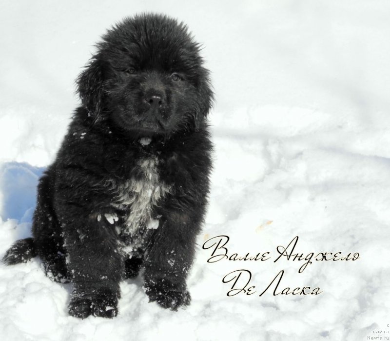 Фотография № 149149