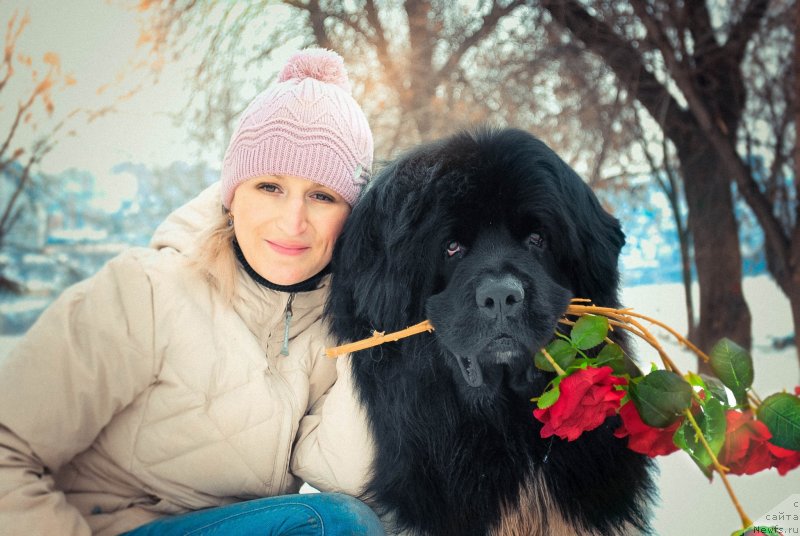 Фотография № 149176