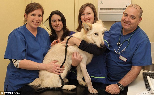 Фотография № 149179