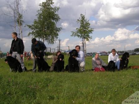 Фотография № 14924