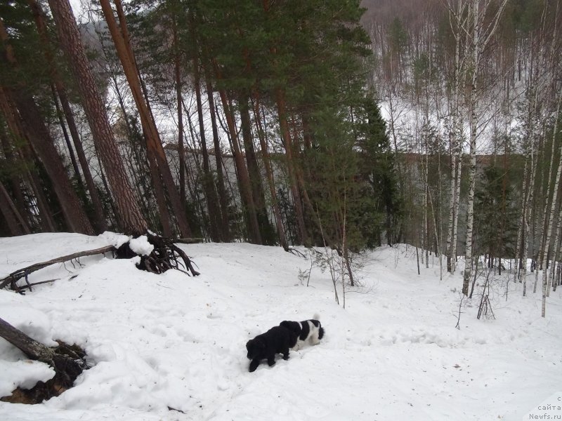 Фотография № 149257