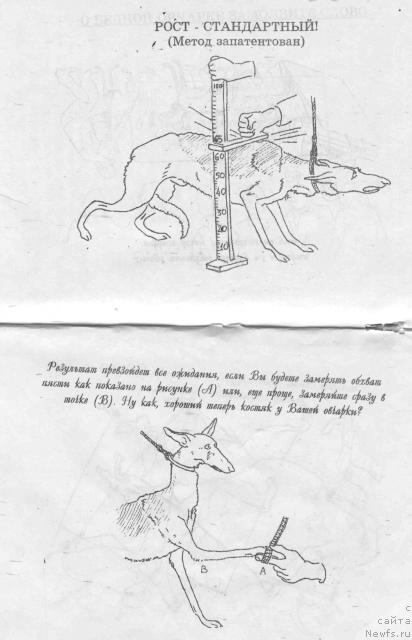 Фотография № 14926