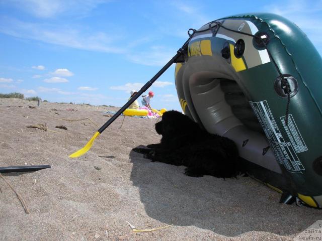 Фотография № 14928