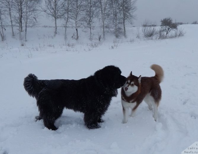 Фотография № 149280