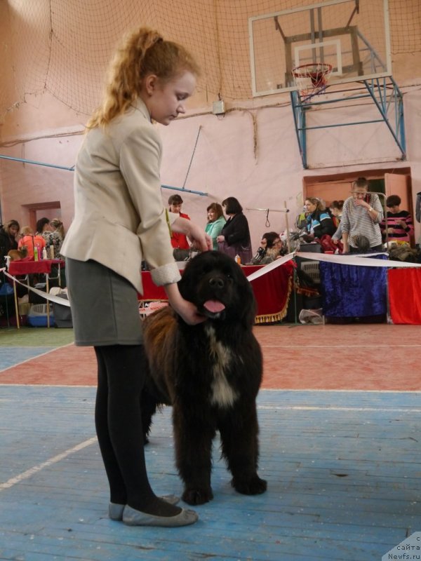 Фотография № 149306