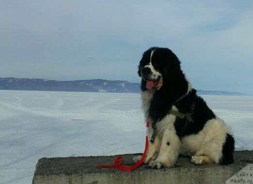 Фотография № 149307