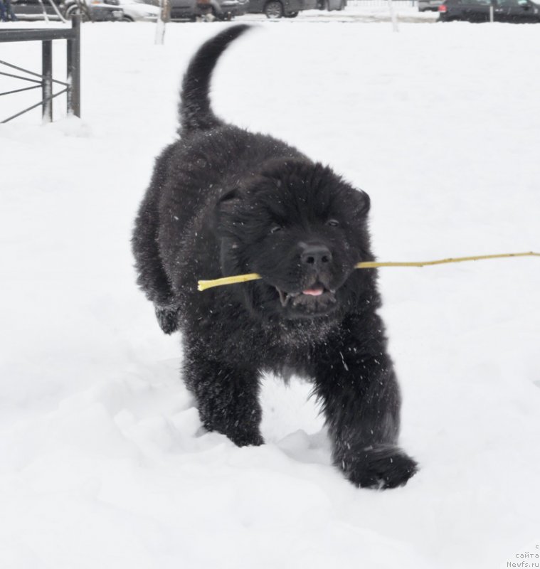 Фото: Бегущая по волнам Фрилансер
