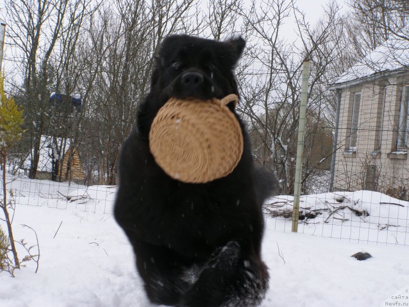 Фотография № 149331