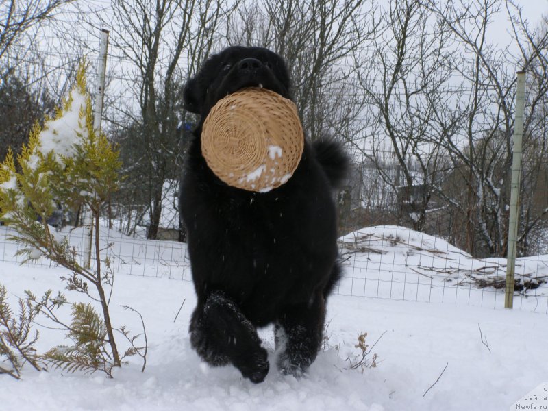 Фотография № 149332