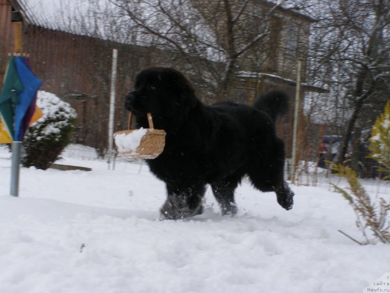 Фотография № 149333