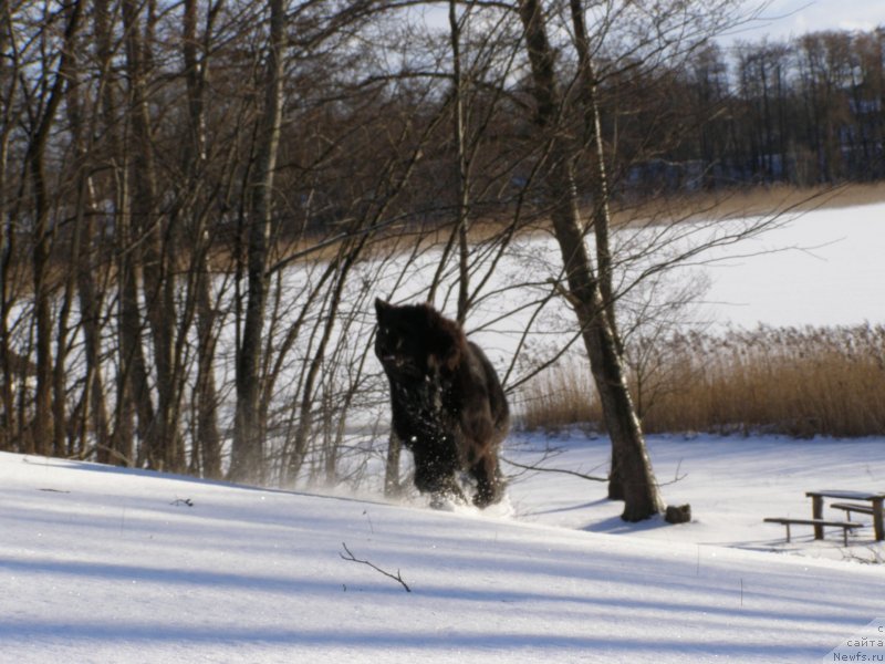 Фотография № 149340