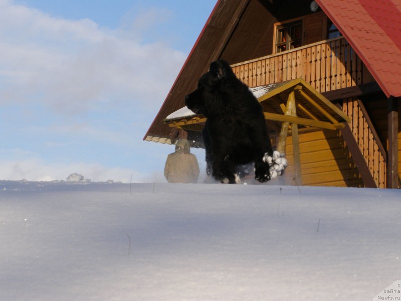 Фотография № 149341