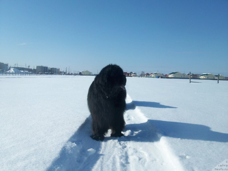 Фотография № 149390