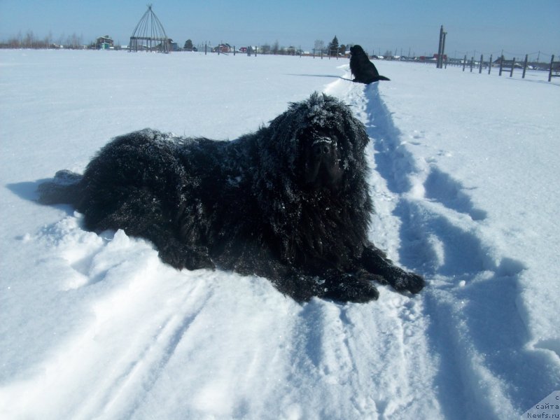 Фотография № 149391