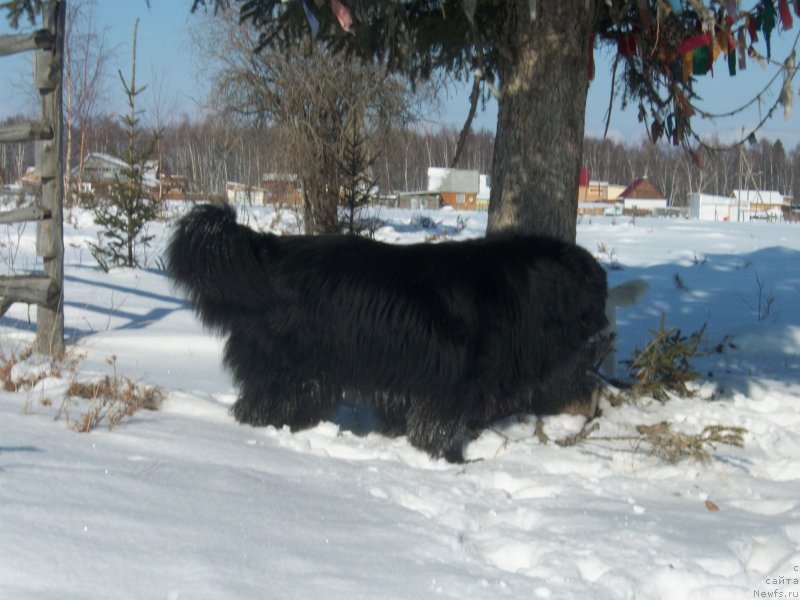 Фотография № 149394